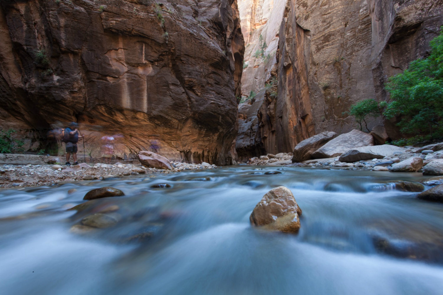 USA_Zion_093